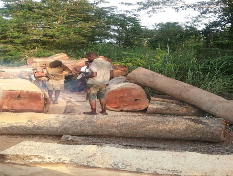 Artisans working in the logs